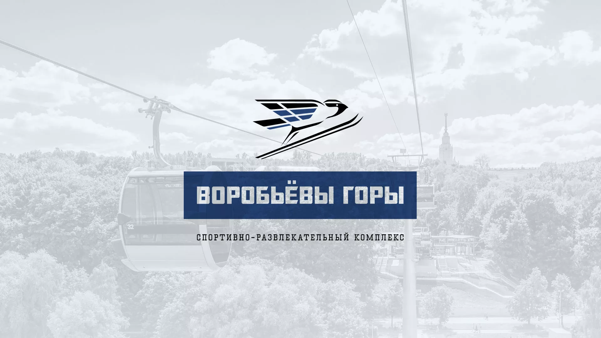 Разработка сайта в Ефремове для спортивно-развлекательного комплекса «Воробьёвы горы»